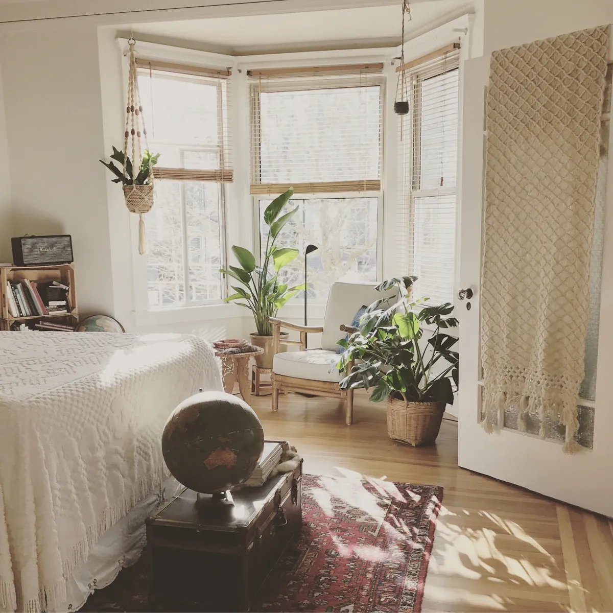A sunlit living room with an upholstered chair and houseplants