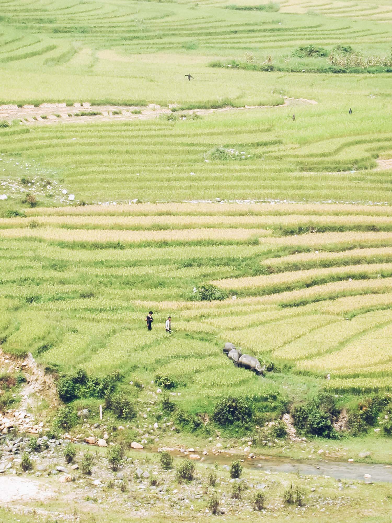 sapa vietnam