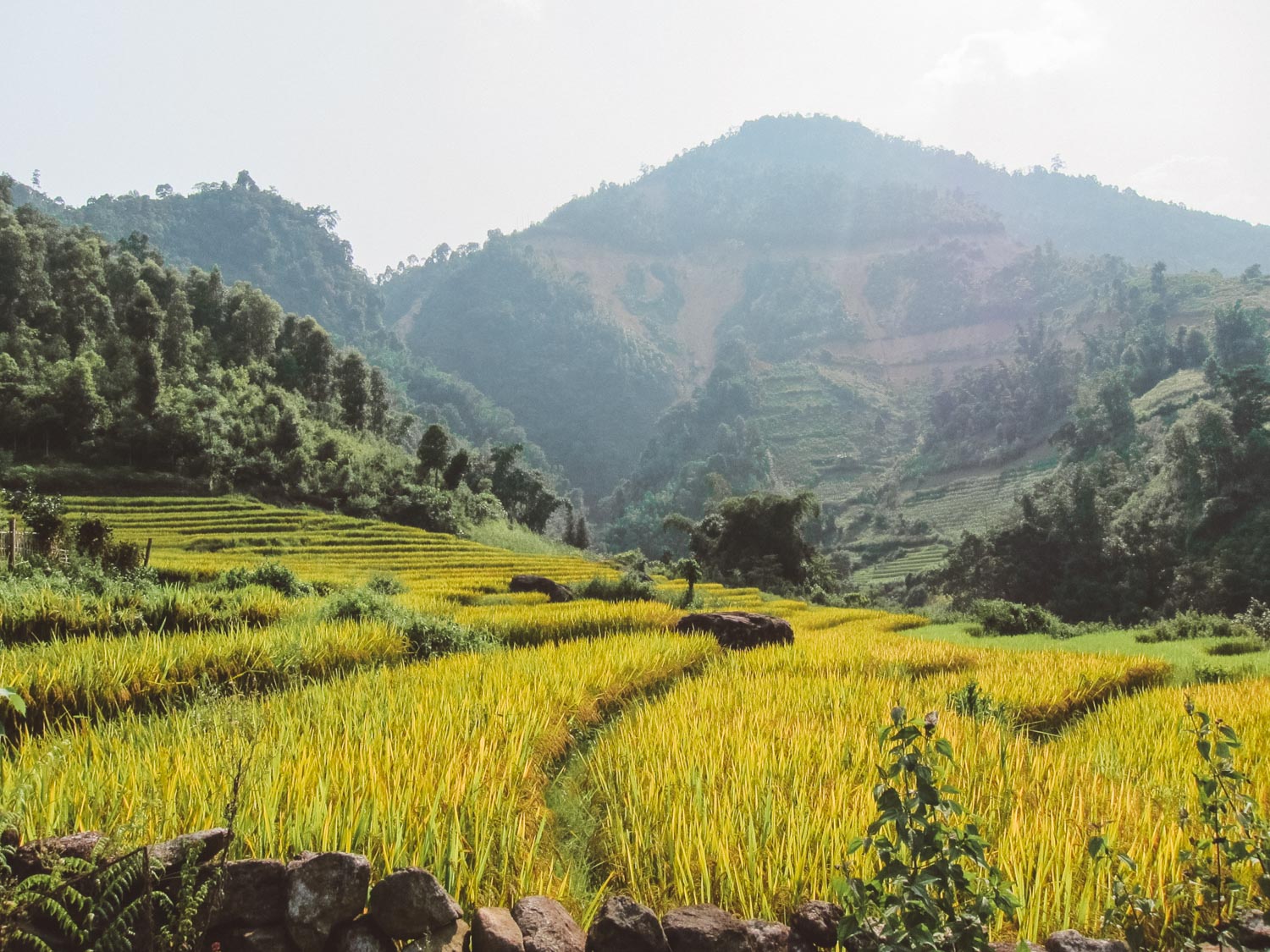 sapa vietnam