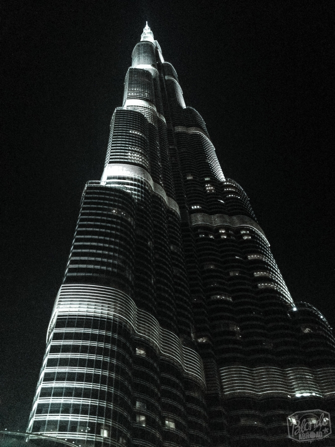 Looking up! (This shot was nearly impossible!)