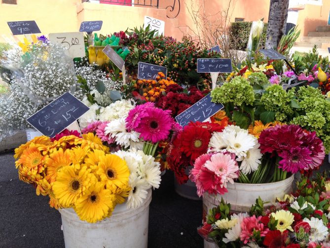 Fresh cut flowers