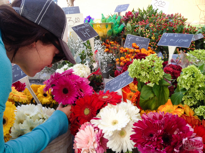 We're suckers for Gerbera daisies