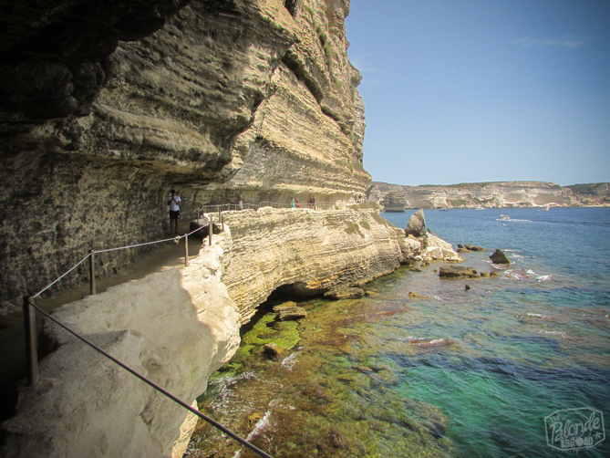 Exploring Bonifacio
