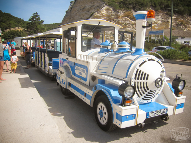 Train in Bonifacio