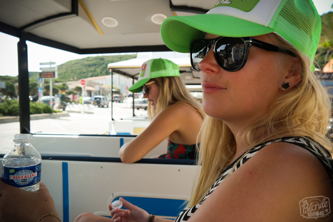 Train in Bonifacio