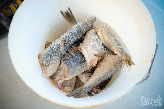 Crayfishing