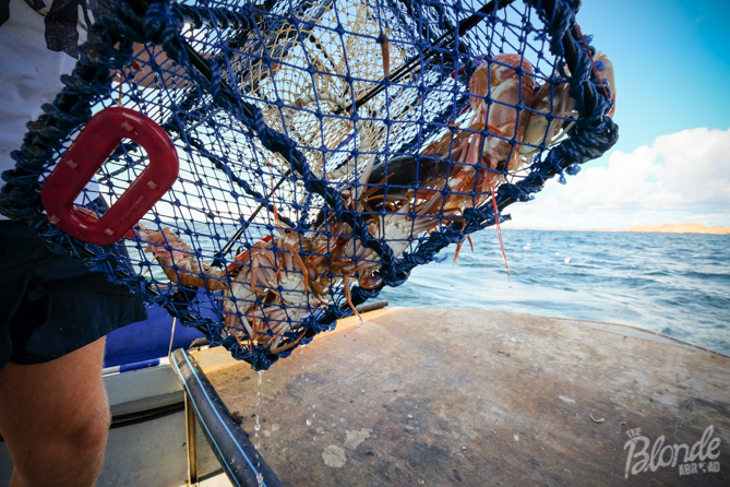 Crayfishing