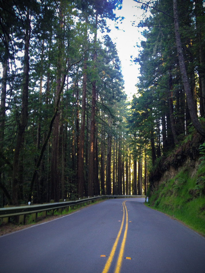 Scenic Drive