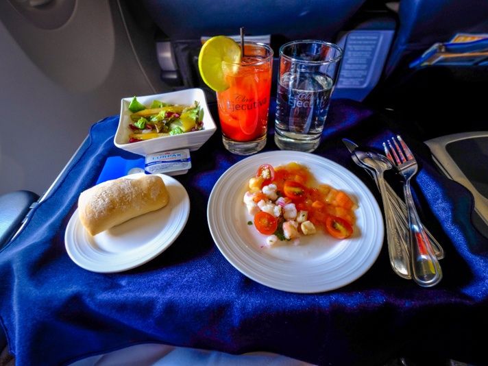 COPA Airlines Bus Class