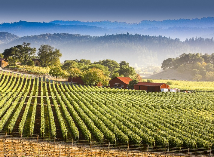 Napa Valley