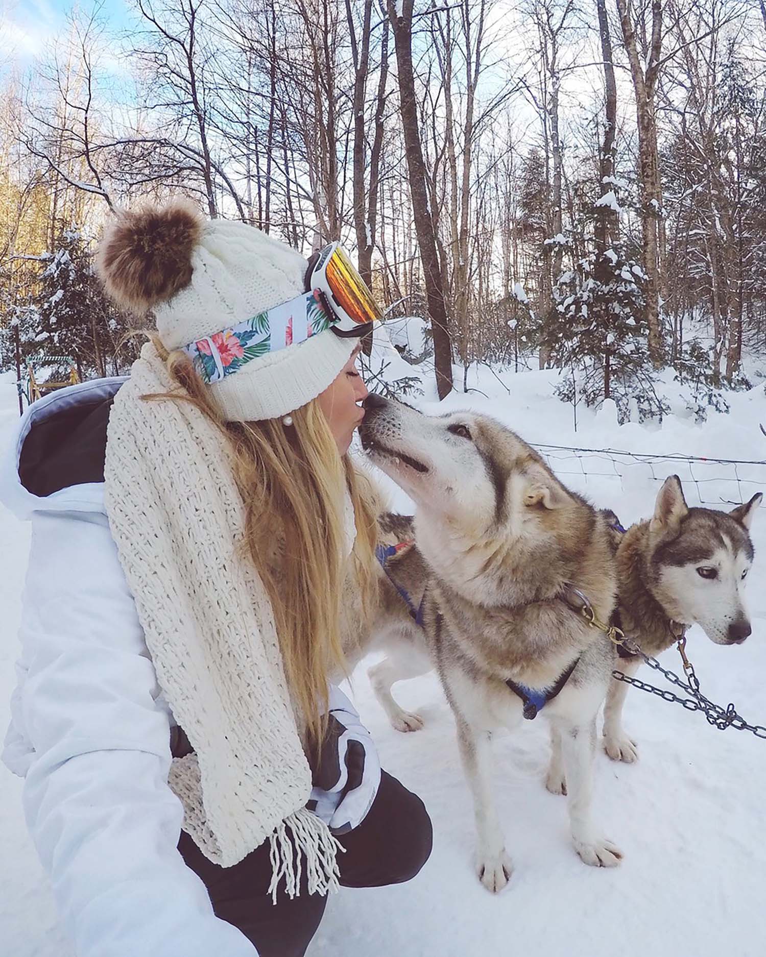 skincare winter husky