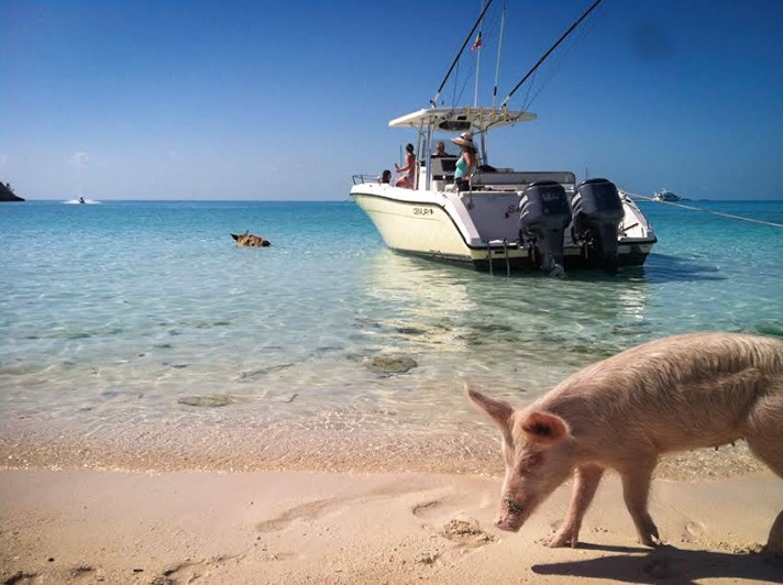 The Bahamas