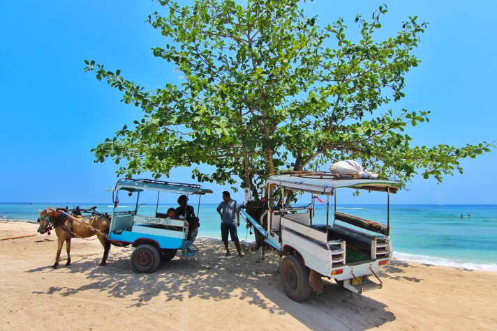 Gili Alex and Michael