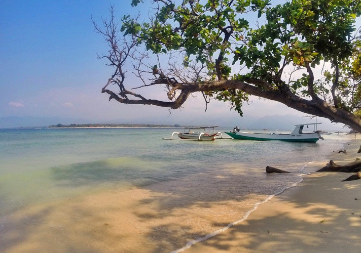 Gili Alex and Michael