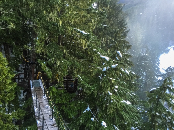 Zip Lining Whistler