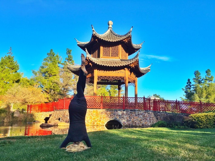 Four Seasons Yoga
