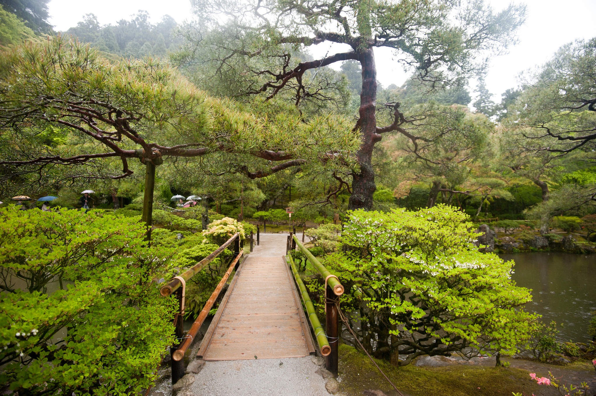 Kyoto Japan