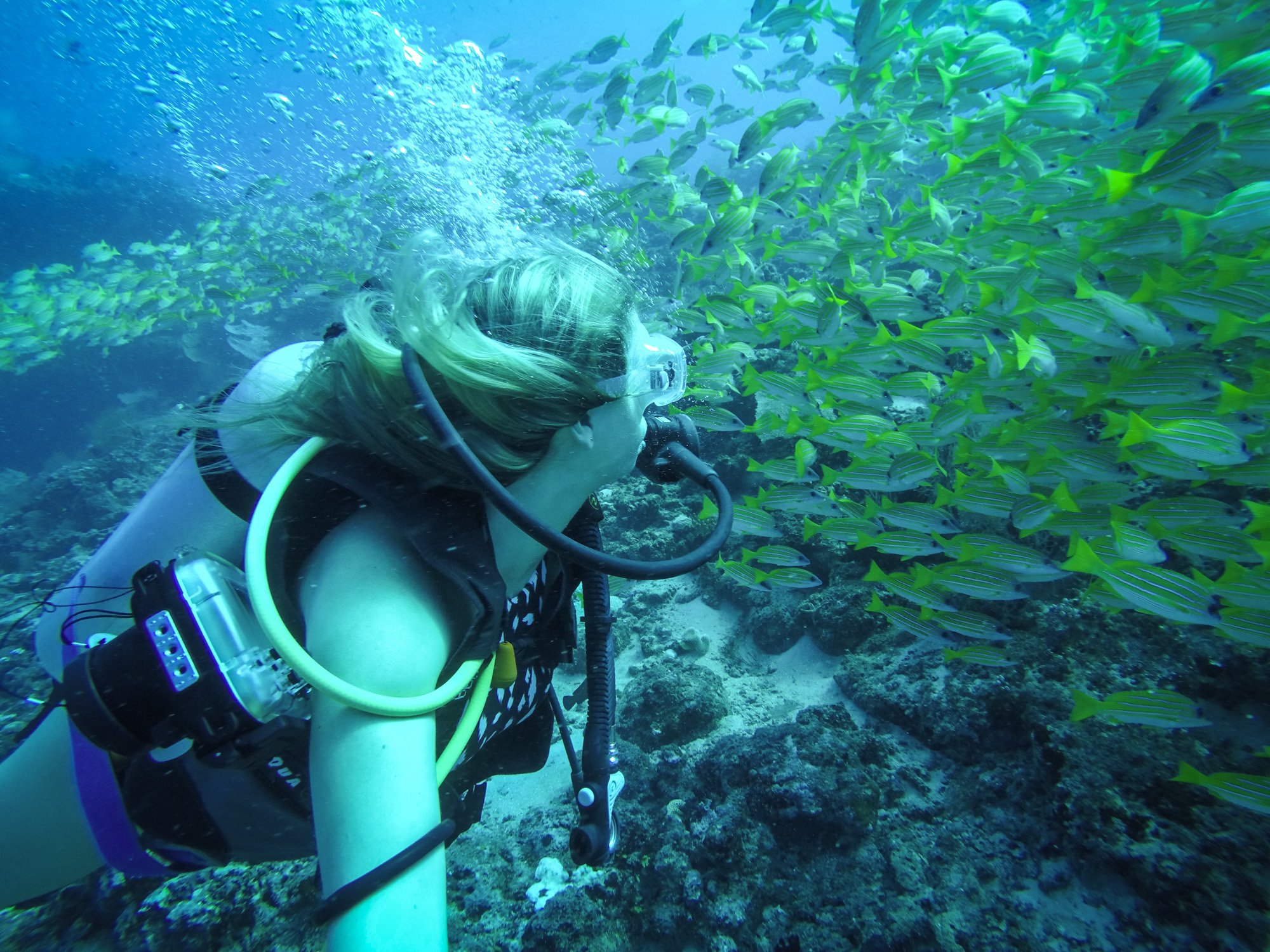 Diving Maldives