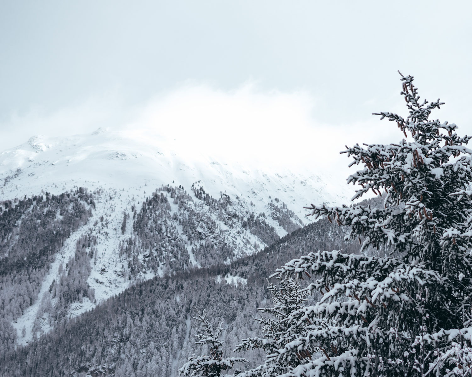 swiss alps