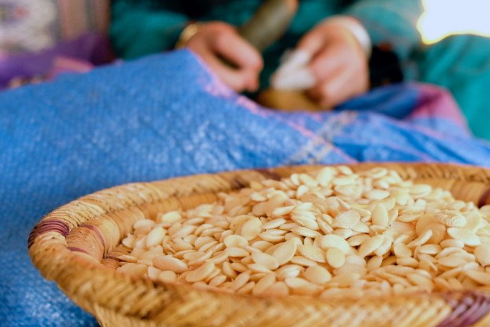 Argan Seeds