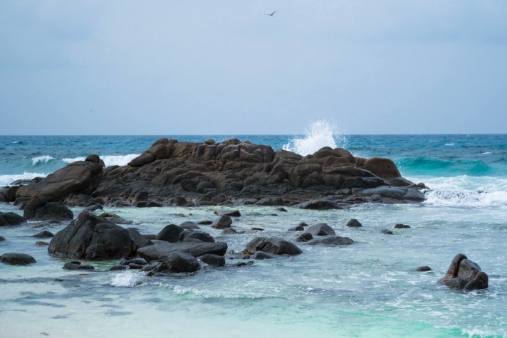 Cousin Island in the Seychelles