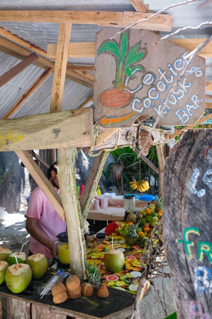 Cocotier La Digue