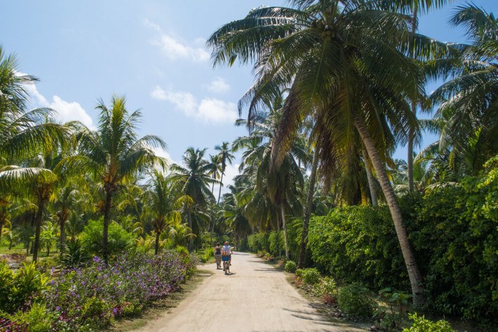 Vanilla Plantations on La Digue