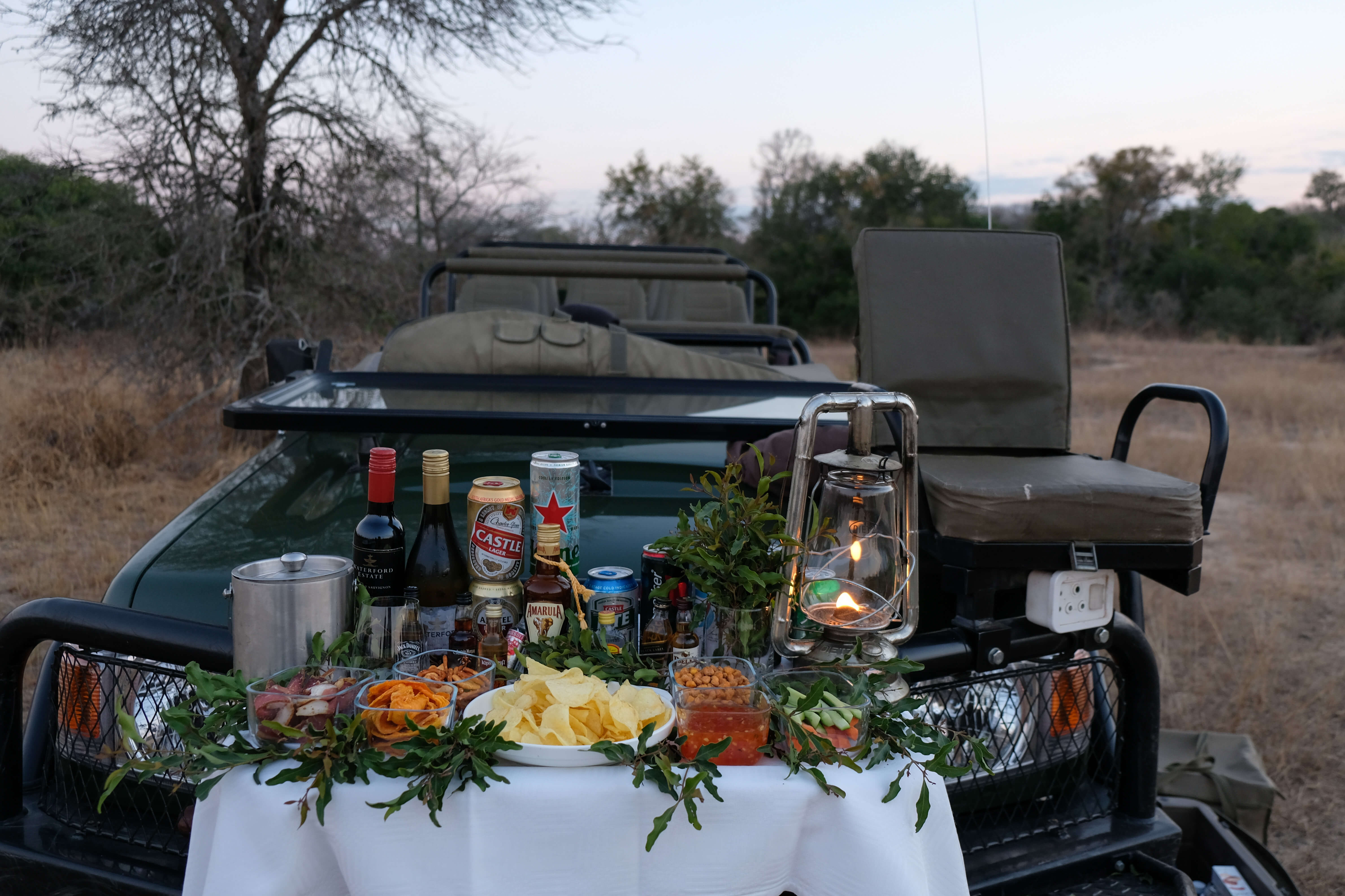 safari picnic at the royal malewane