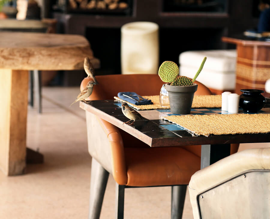 table at fellah hotel