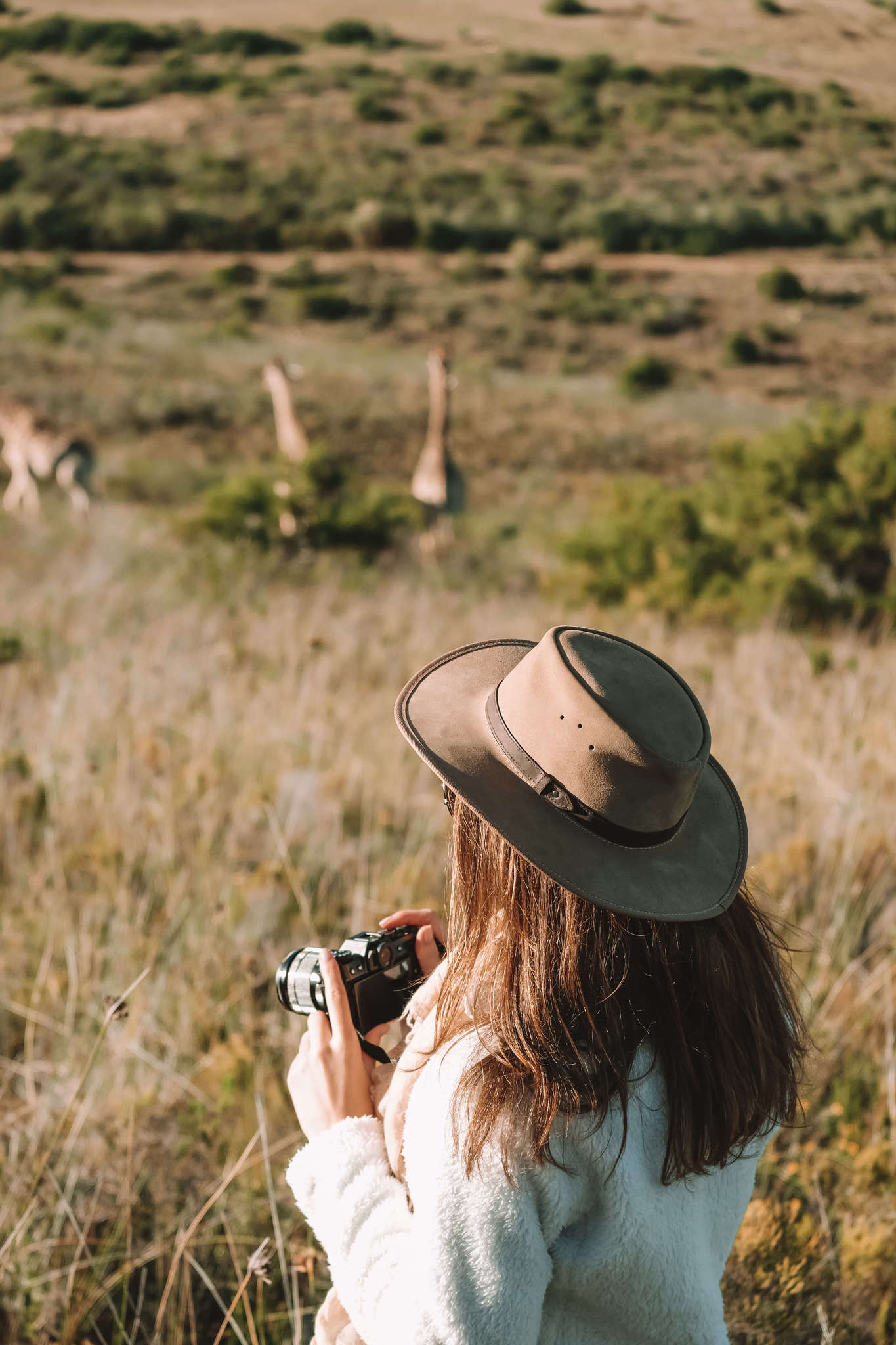 Taking pictures of giraffes at Gondwana
