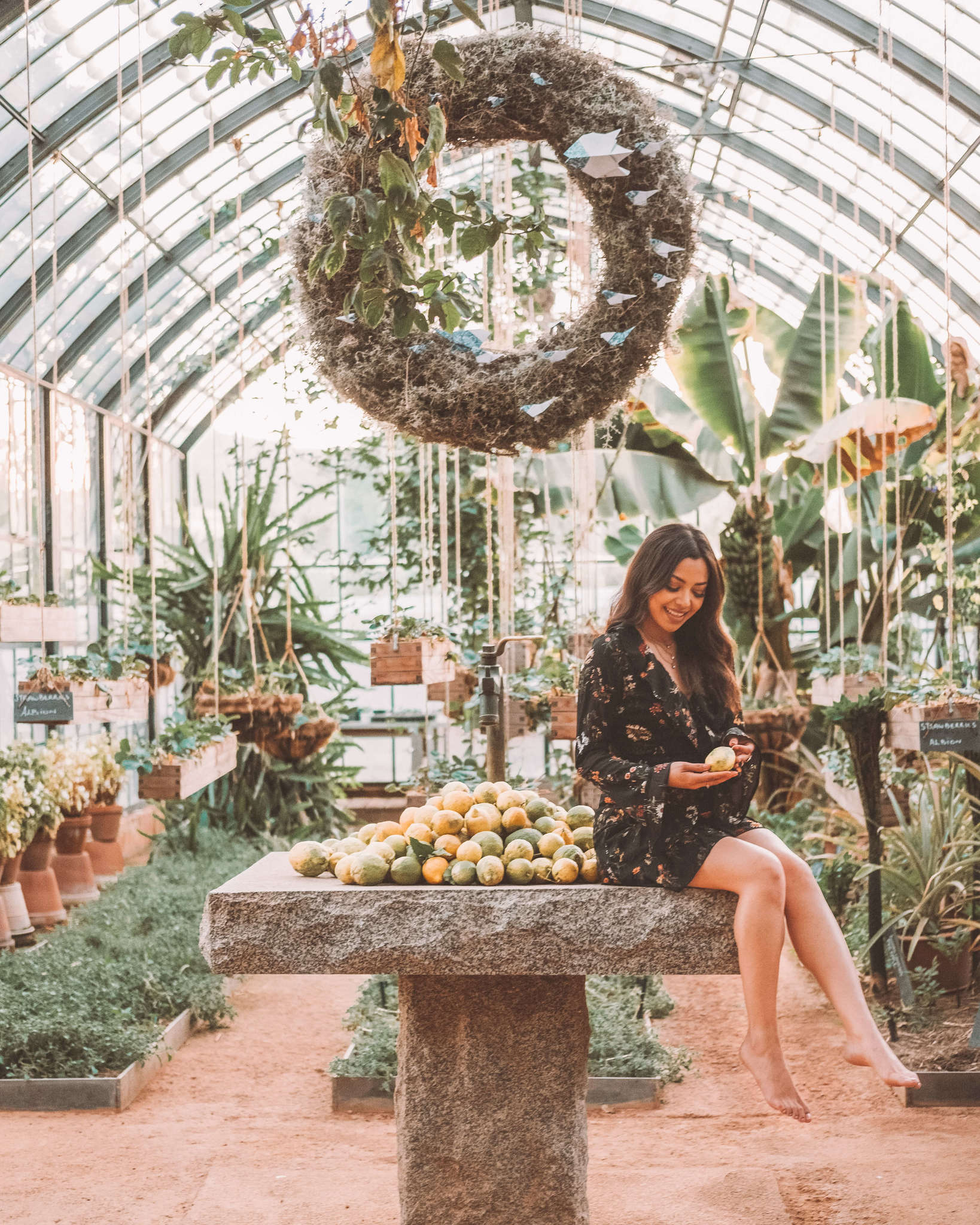 Babylonstoren Gardens