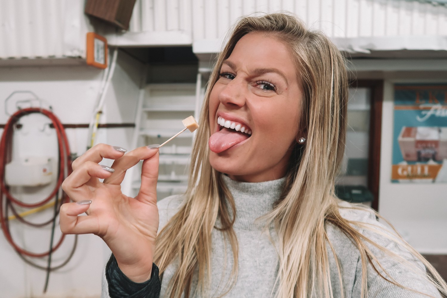 Eating Rotten Shark in Iceland