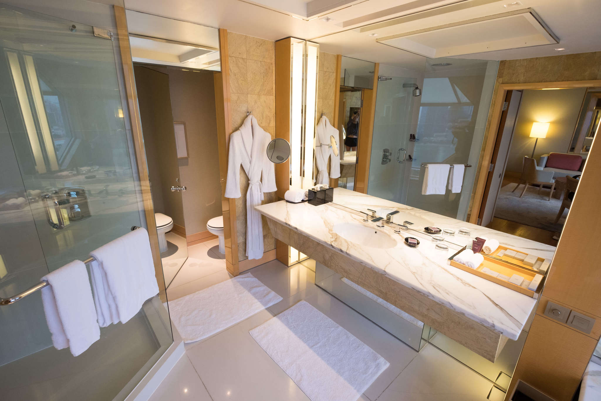 Ritz-Carlton Millenia BathRoom