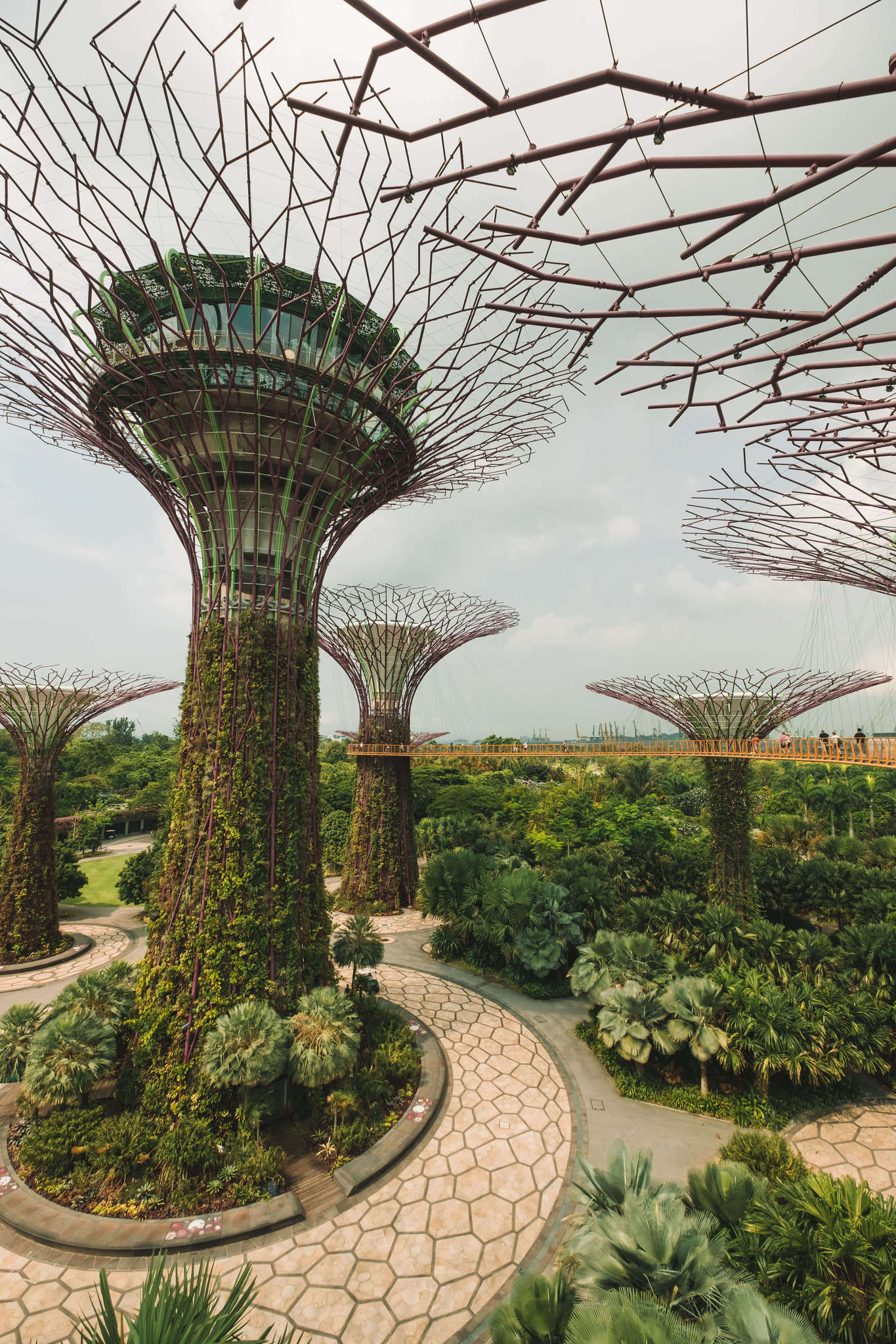 Supertrees in Singapore