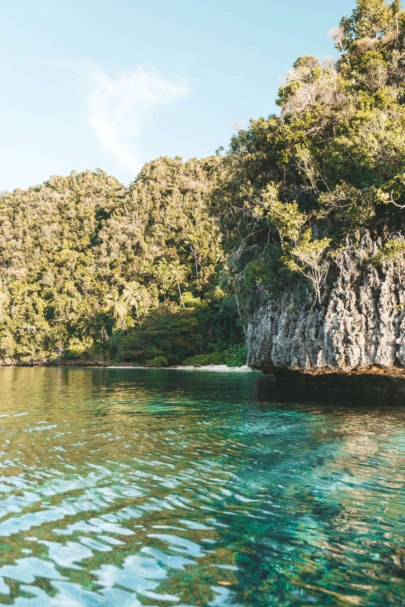 Tropical Lagoon