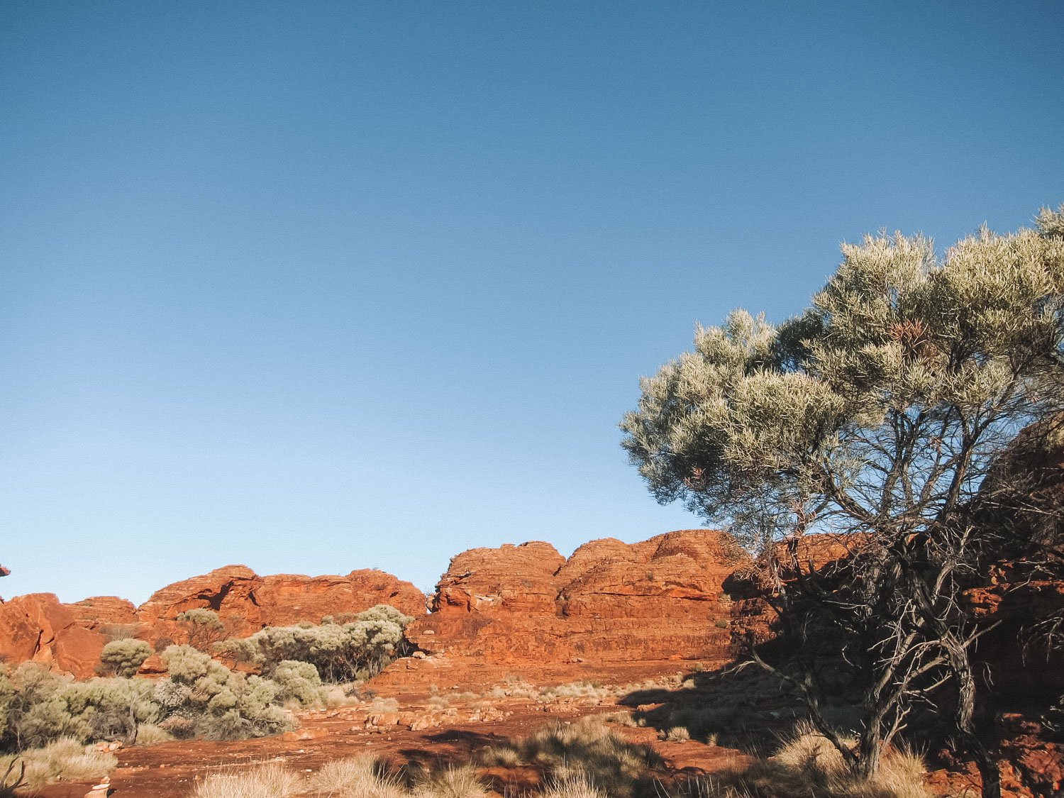 King's Canyon
