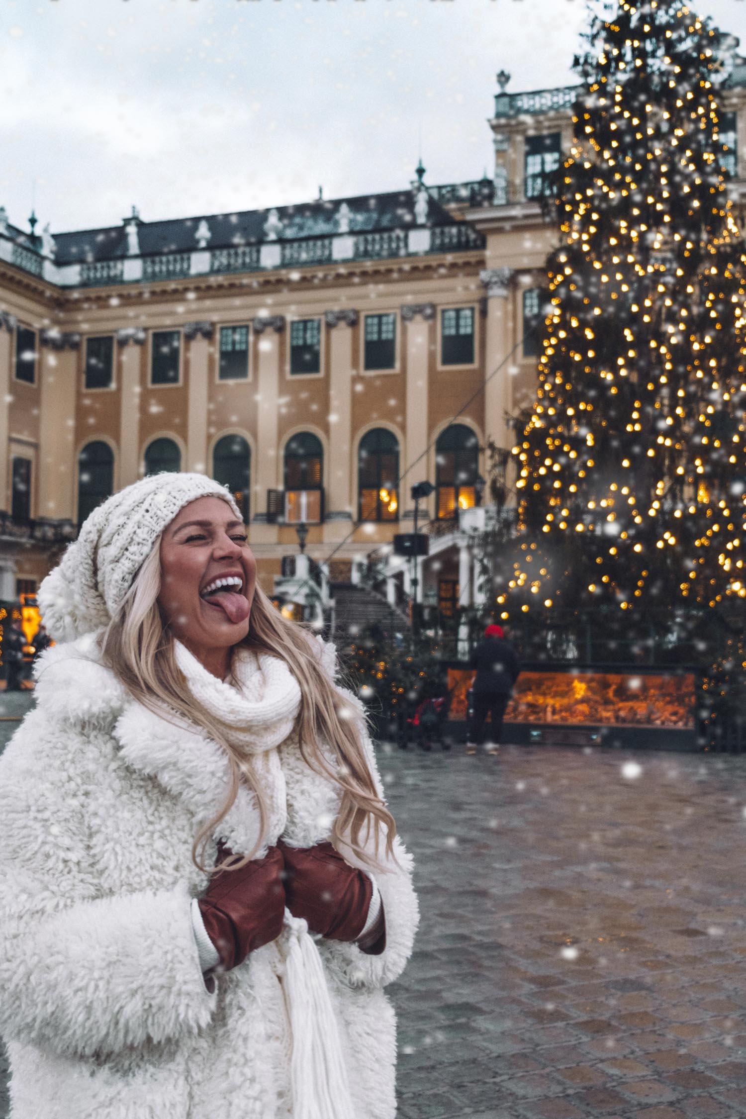 Christmas in Vienna