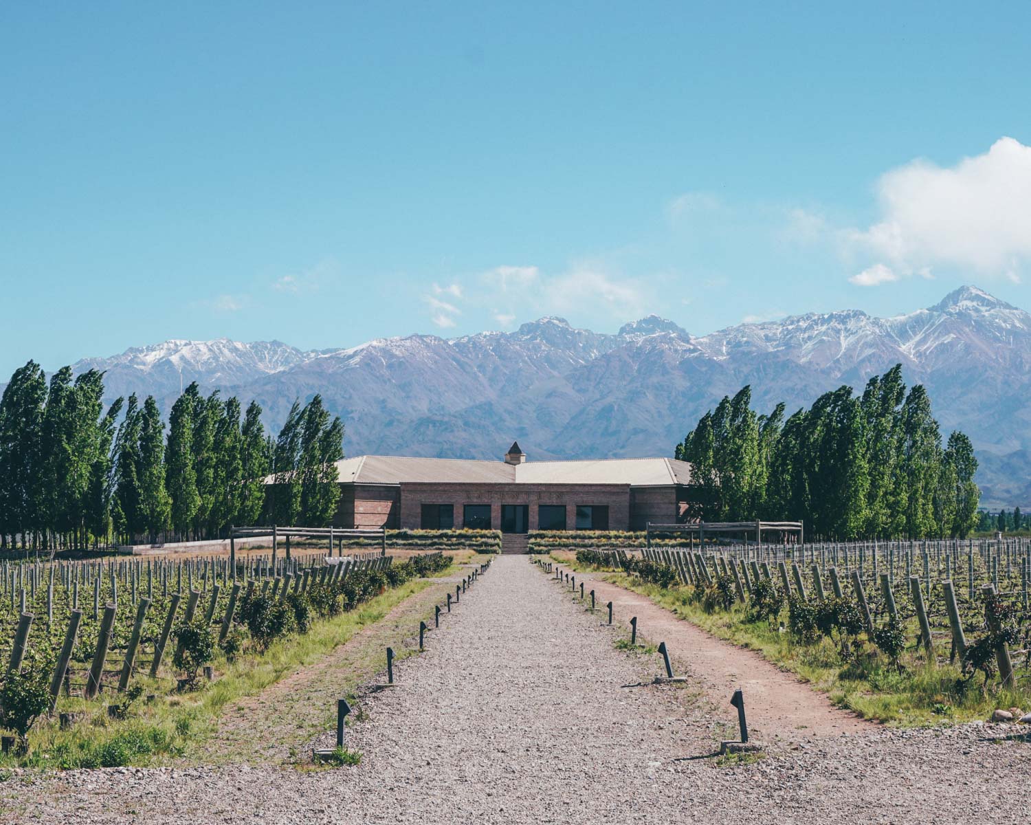 wine farm in mendoza, argentina