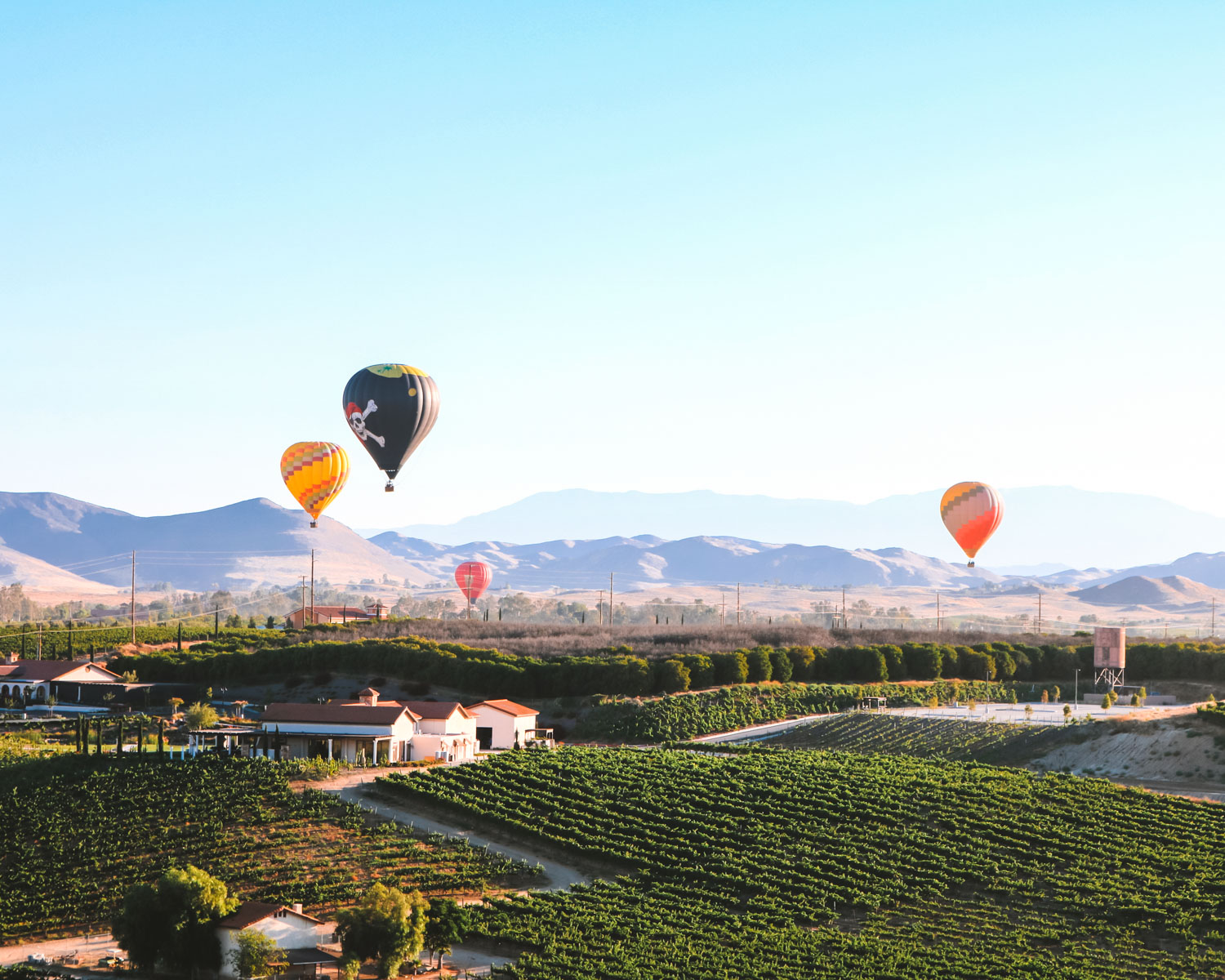 wine farm in Temecula, California