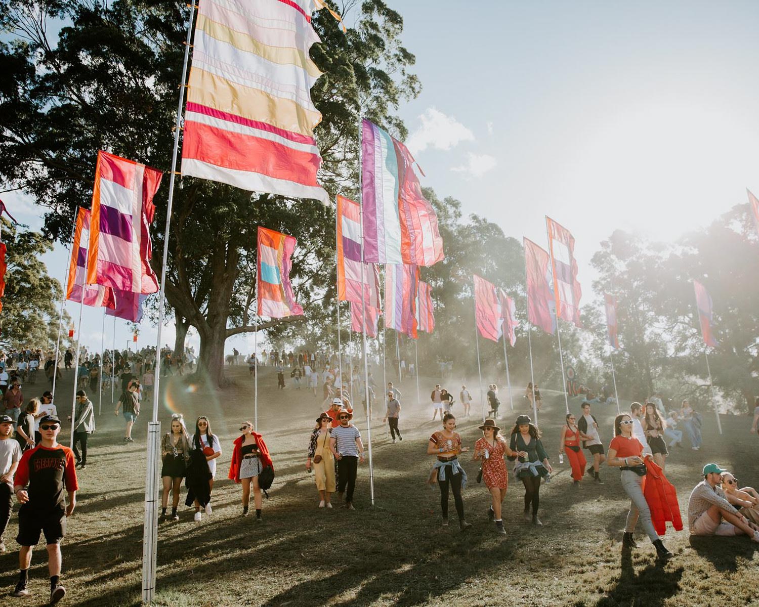 Splendour in the Grass