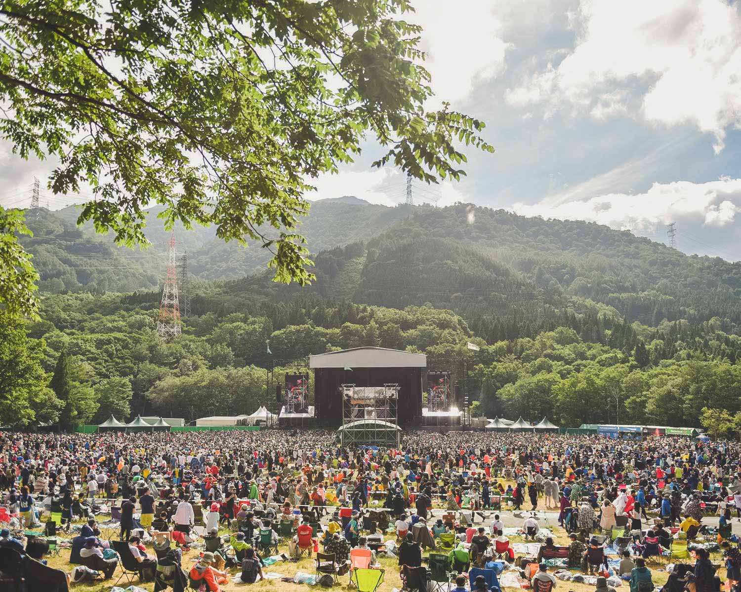 fuji rock festival