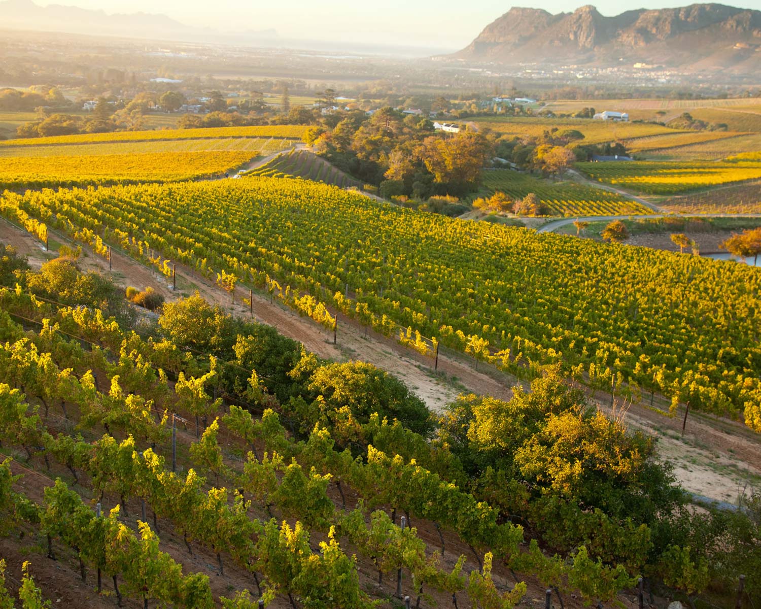 Klein Constantia