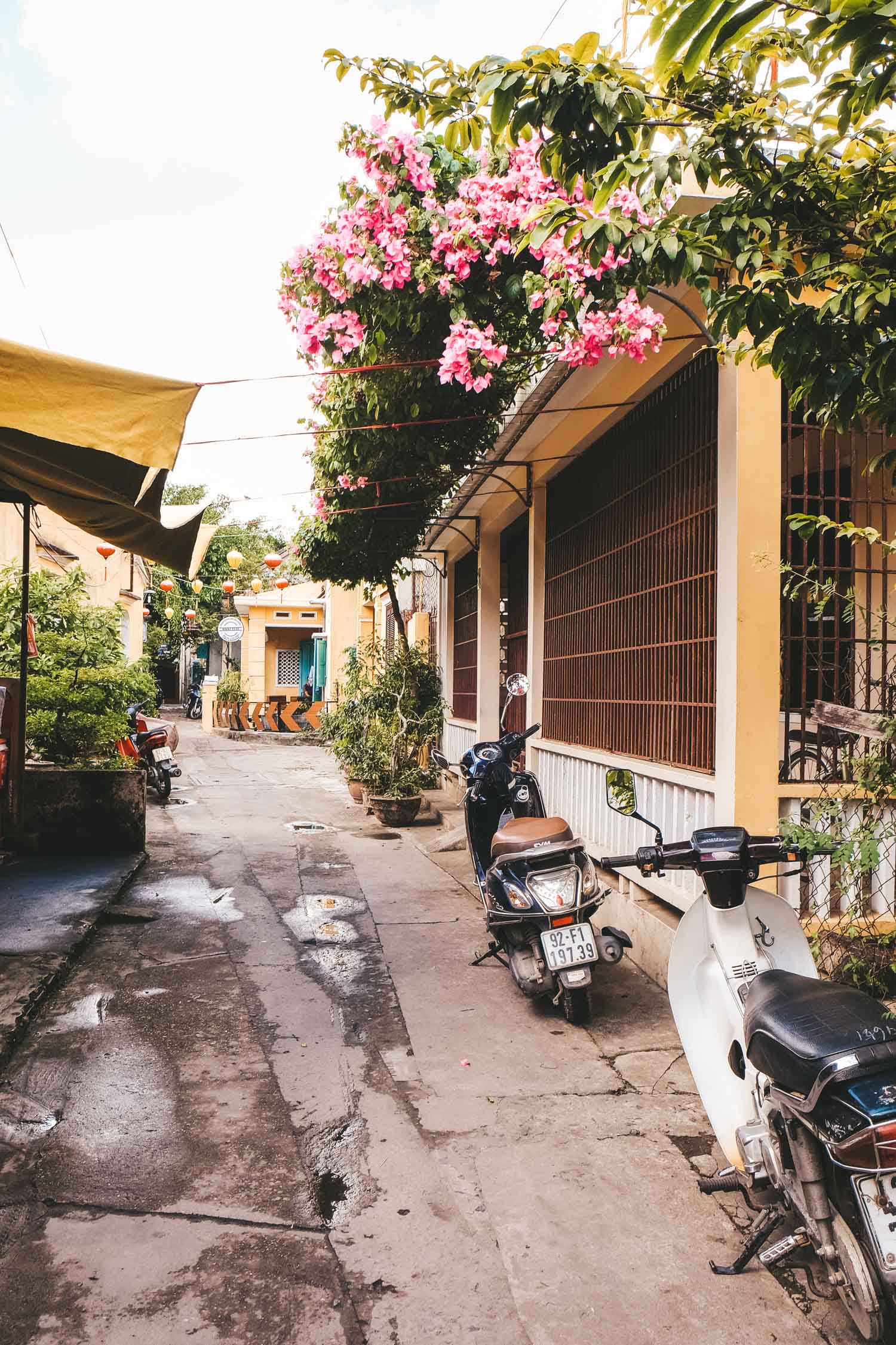 1Photos Inspire Trip to Vietnam-2