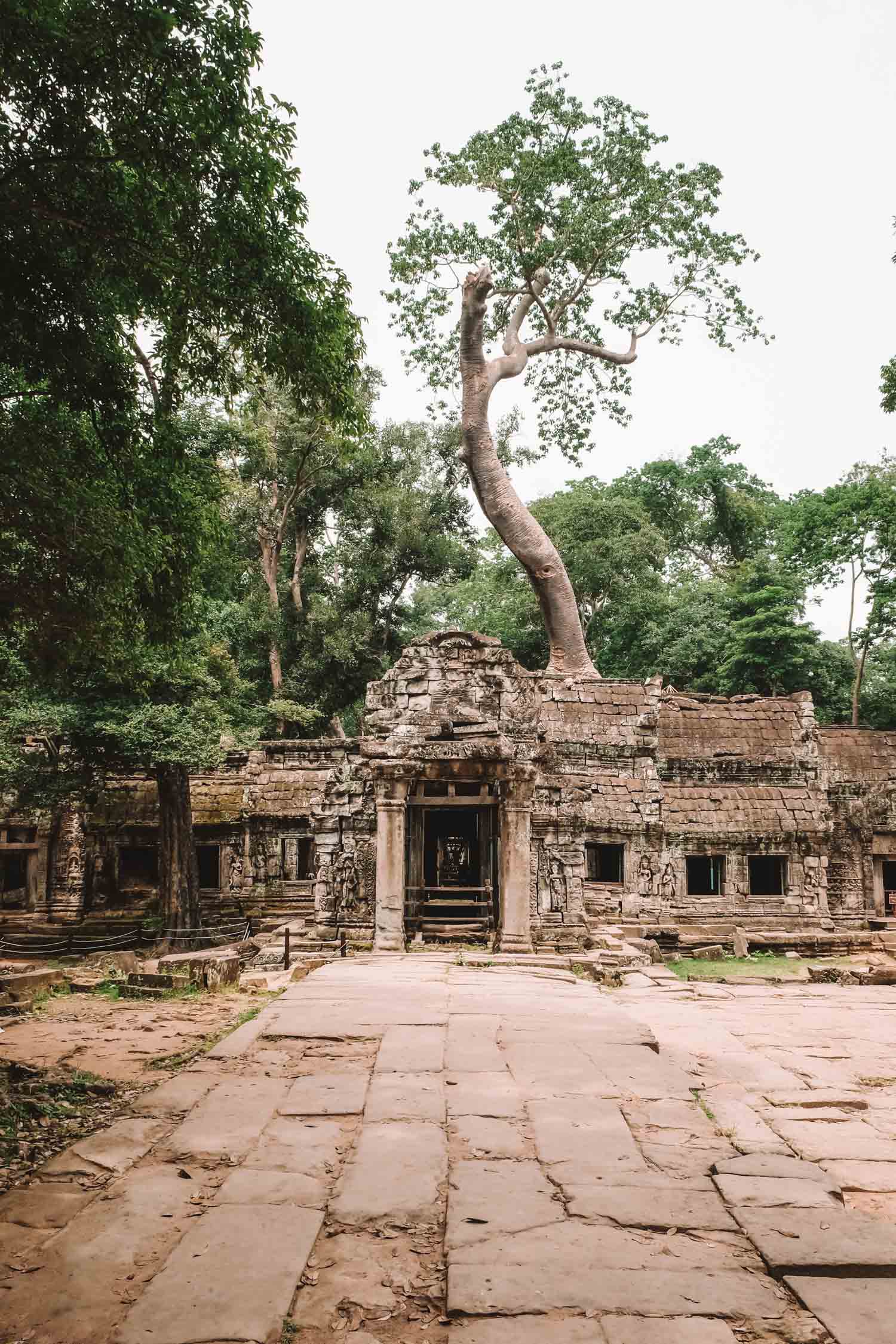 Cambodia Photos-6