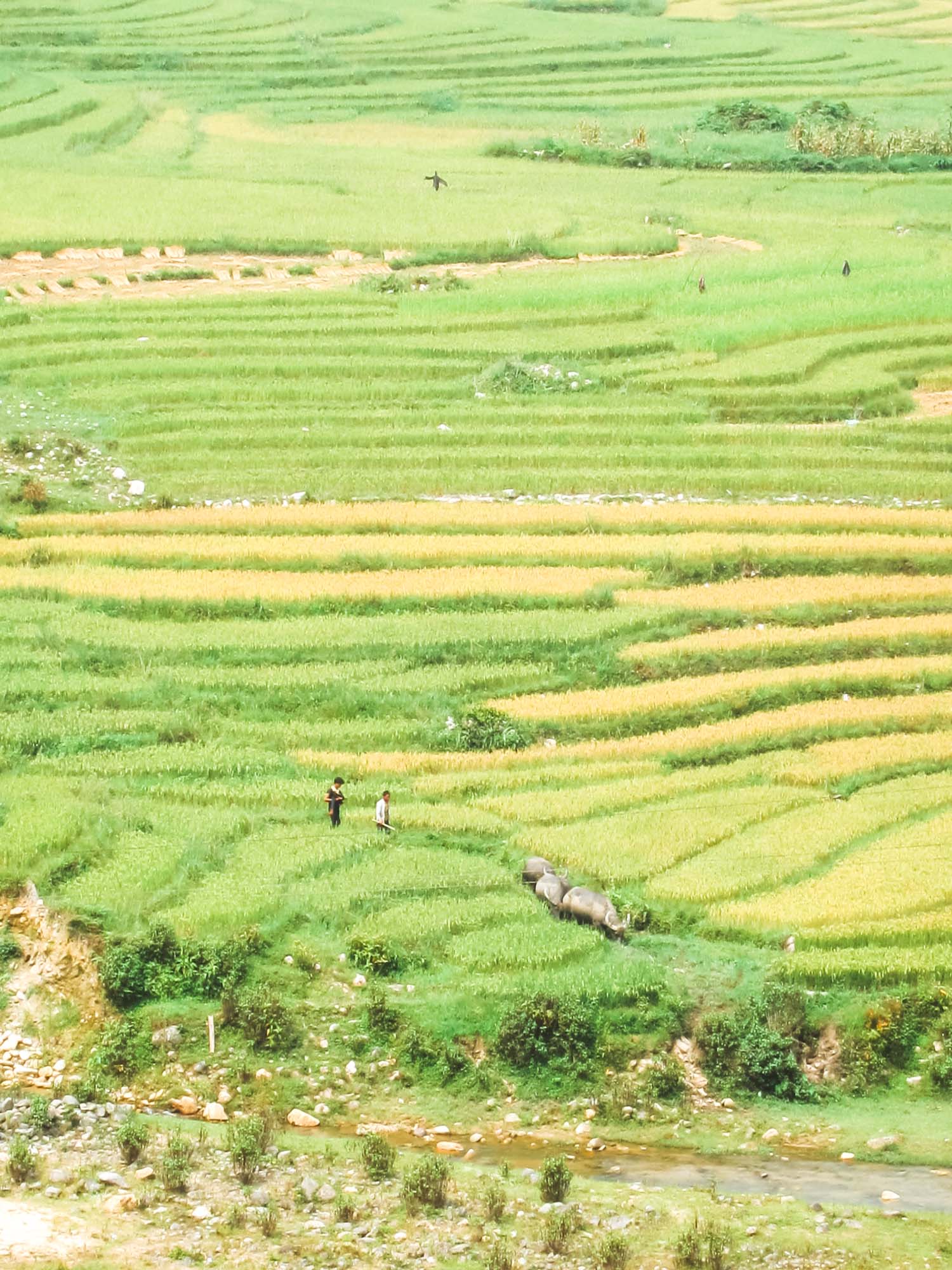 Vietnam Photos-2