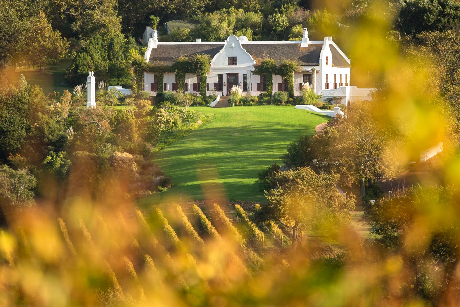 Constantia Glen
