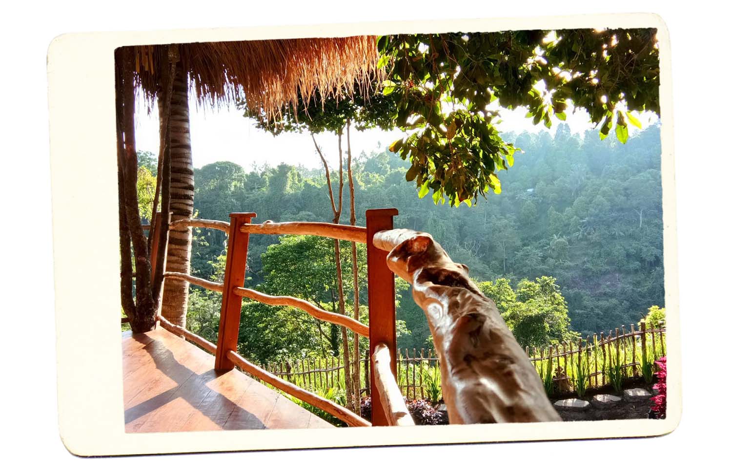 bali treehouse