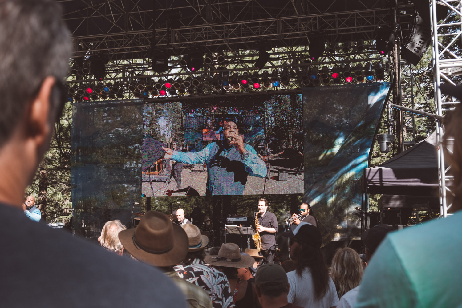 mammoth blues and craft beer festival