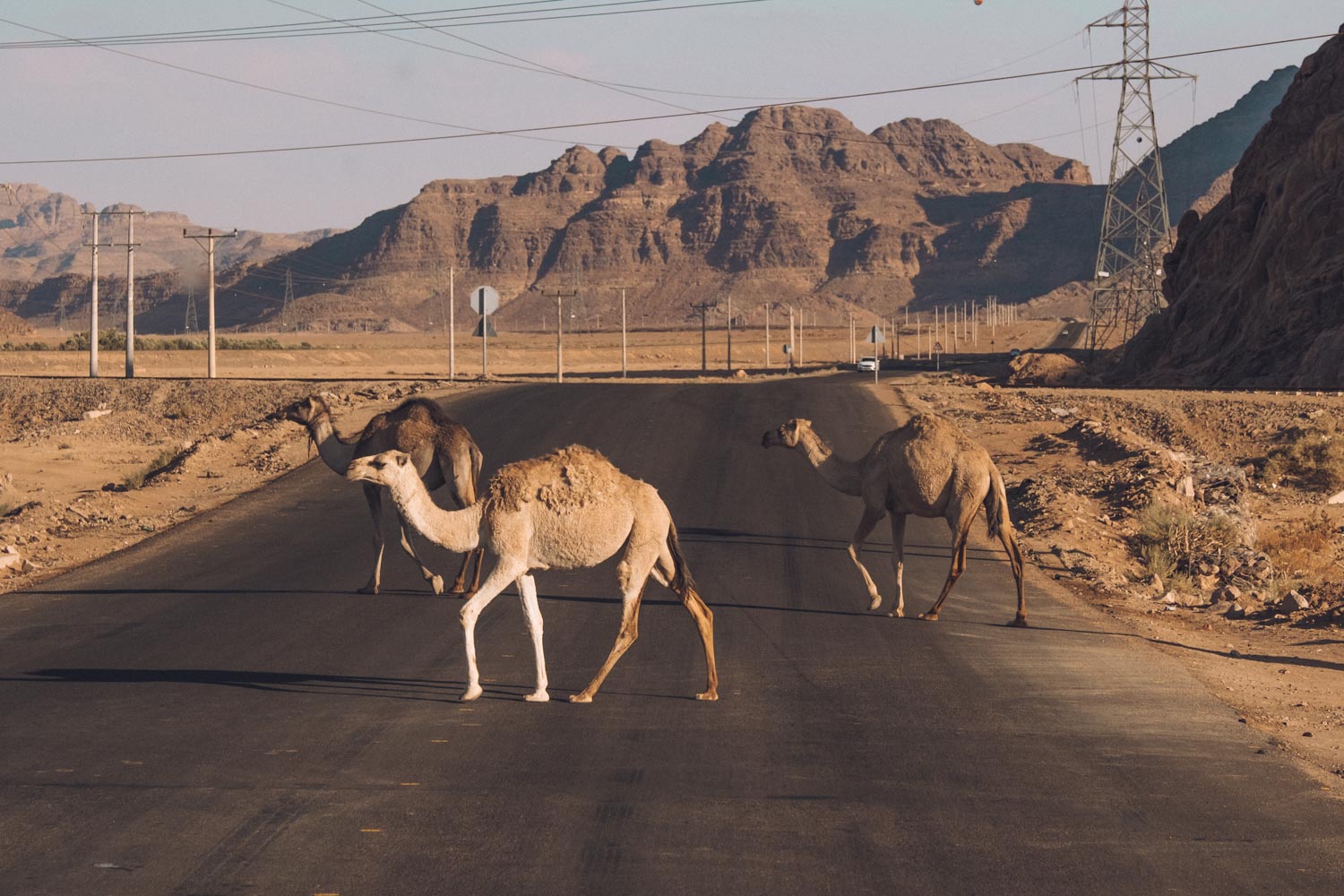 Wadi Rum Jordan