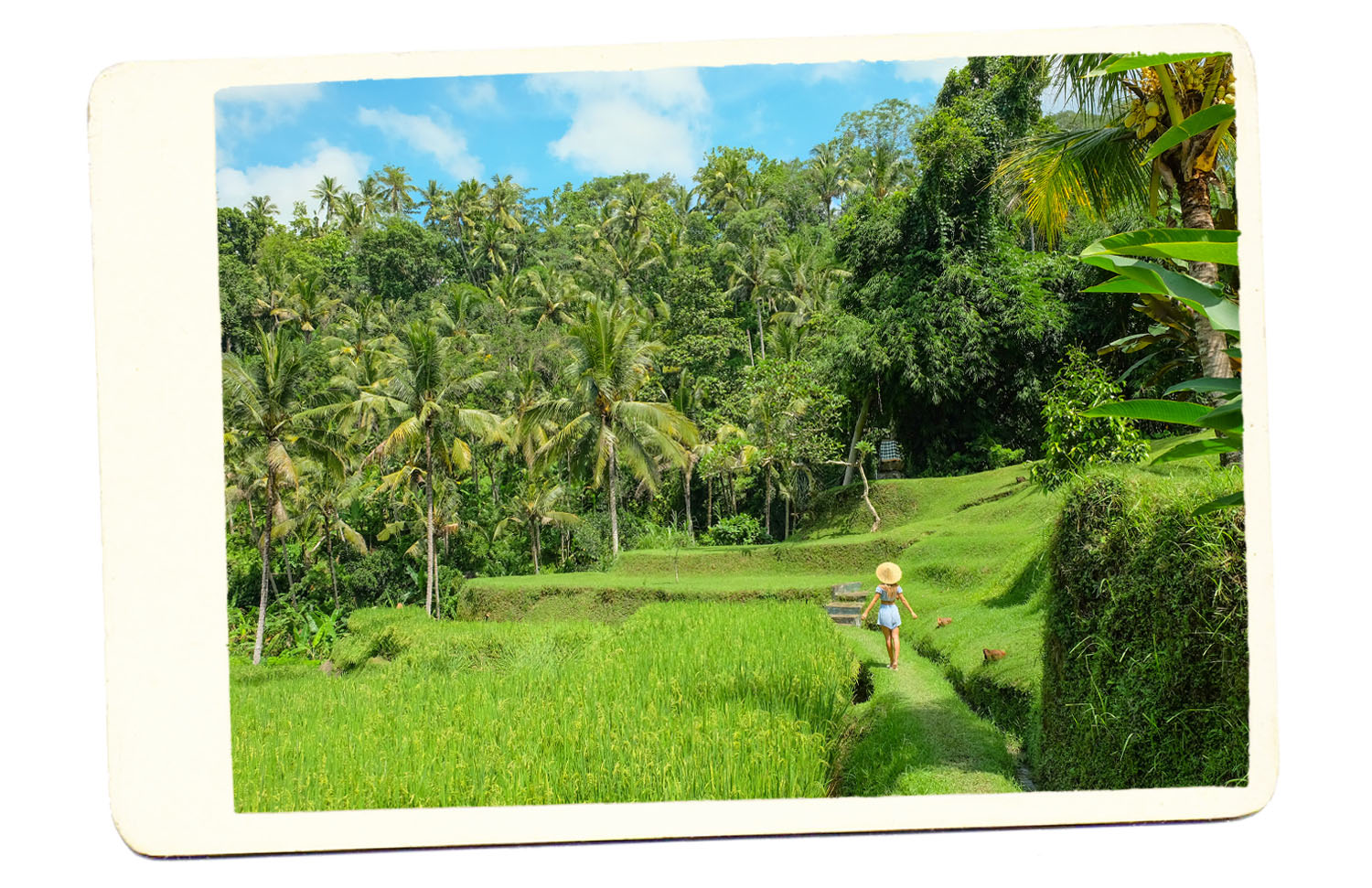 bali
